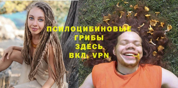 apvp Осташков