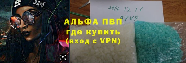 прущие грибы Няндома