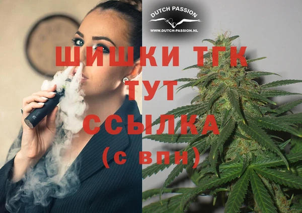 трава Осинники