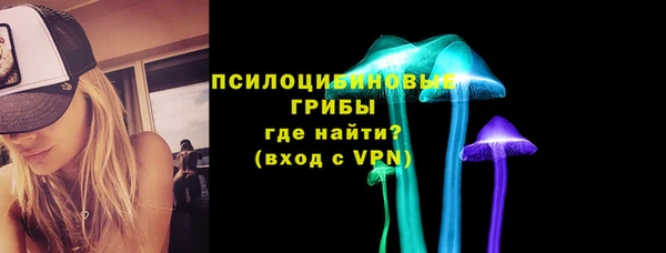 трава Осинники