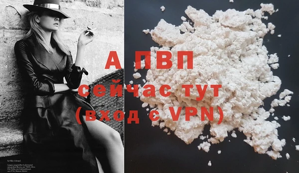 трава Осинники