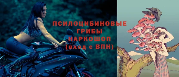 apvp Осташков